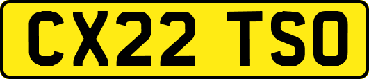 CX22TSO