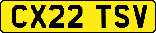 CX22TSV