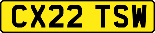 CX22TSW
