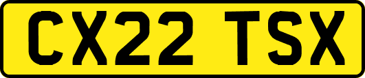 CX22TSX