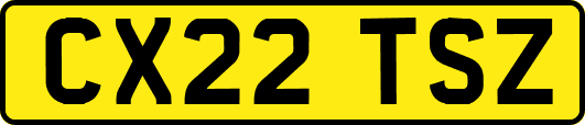 CX22TSZ