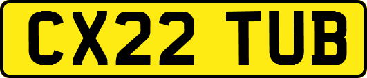 CX22TUB