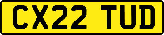 CX22TUD