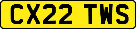 CX22TWS
