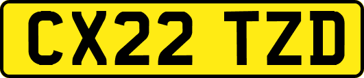 CX22TZD