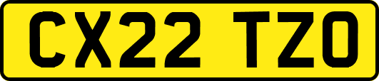 CX22TZO
