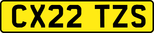 CX22TZS