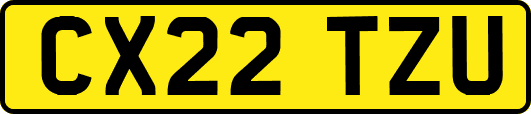 CX22TZU