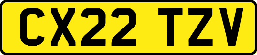 CX22TZV