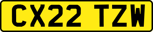 CX22TZW