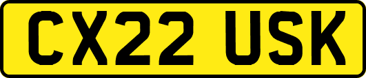 CX22USK