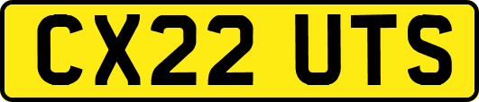 CX22UTS