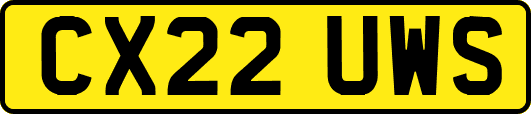 CX22UWS