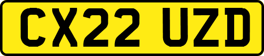 CX22UZD