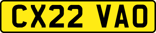 CX22VAO