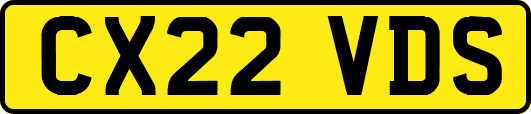 CX22VDS
