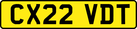 CX22VDT