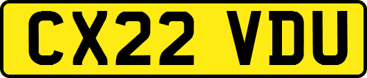 CX22VDU