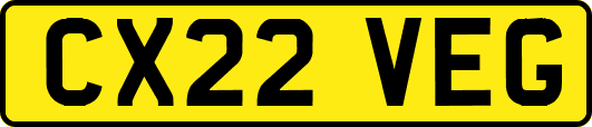 CX22VEG