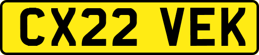 CX22VEK