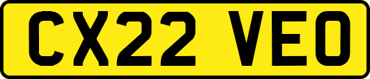 CX22VEO