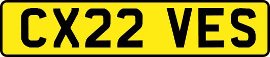 CX22VES