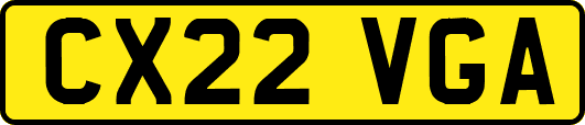 CX22VGA
