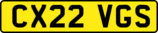 CX22VGS