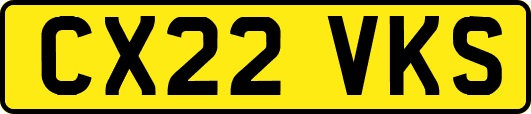 CX22VKS