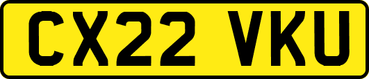 CX22VKU