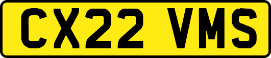 CX22VMS