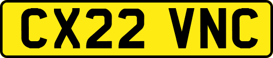 CX22VNC
