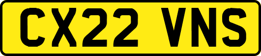 CX22VNS