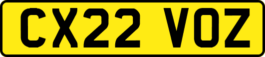 CX22VOZ