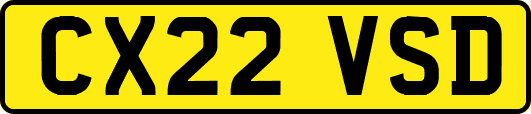 CX22VSD