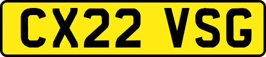 CX22VSG