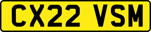 CX22VSM