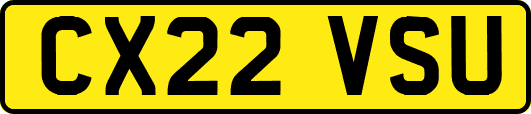 CX22VSU