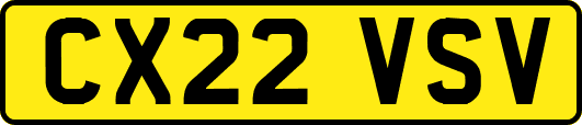 CX22VSV