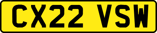CX22VSW