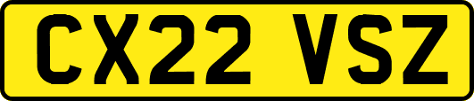 CX22VSZ