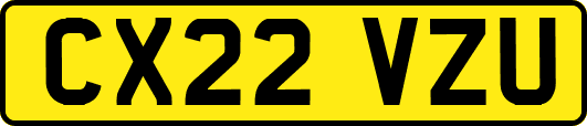 CX22VZU