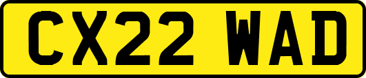 CX22WAD