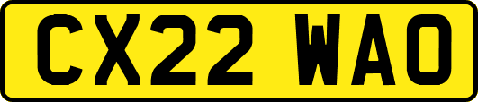 CX22WAO