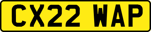 CX22WAP