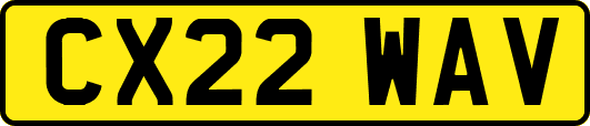 CX22WAV