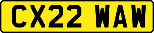CX22WAW