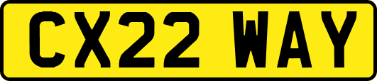 CX22WAY