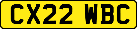 CX22WBC