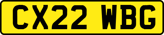 CX22WBG